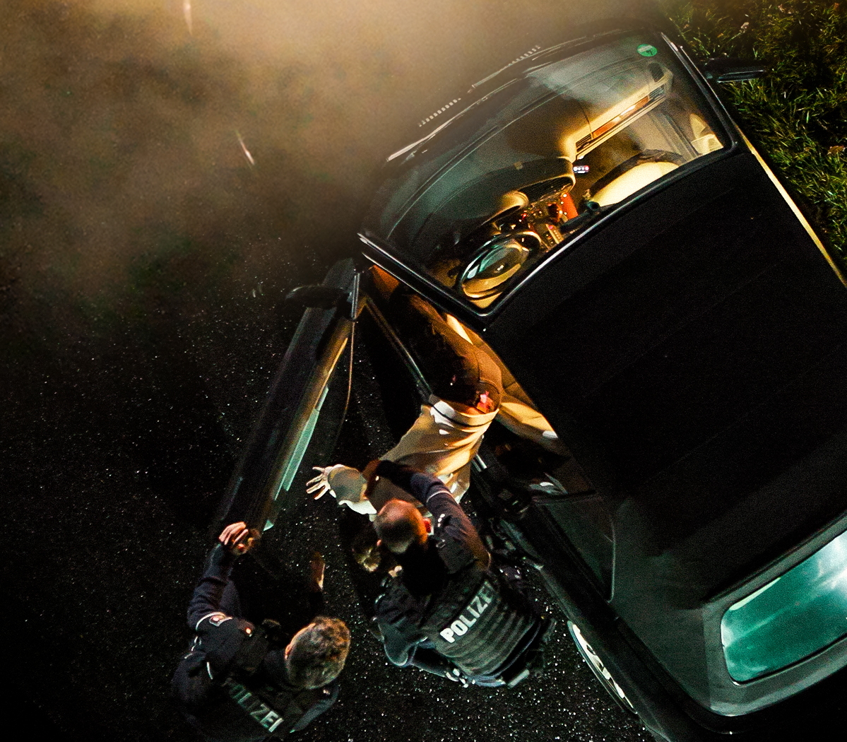 Lewin Ray Hol Mich Raus